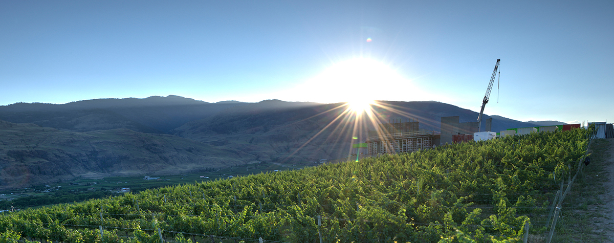 Phantom winery becomes a reality